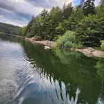 Dans Les Vosges Daire *