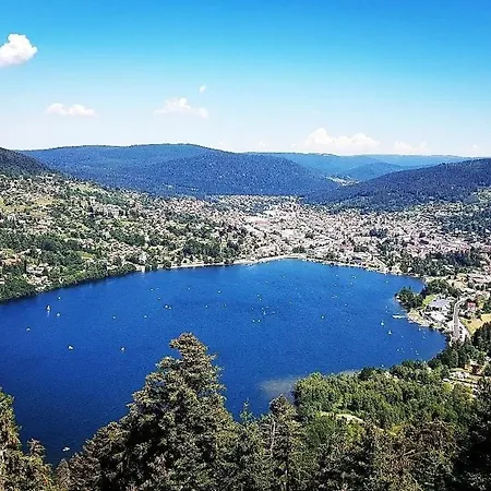 Dans Les Vosges *